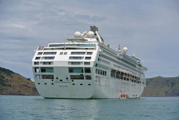 Où découvrir les traditions de la fabrication du fromage de chèvre en Espagne : fermes et stages ?